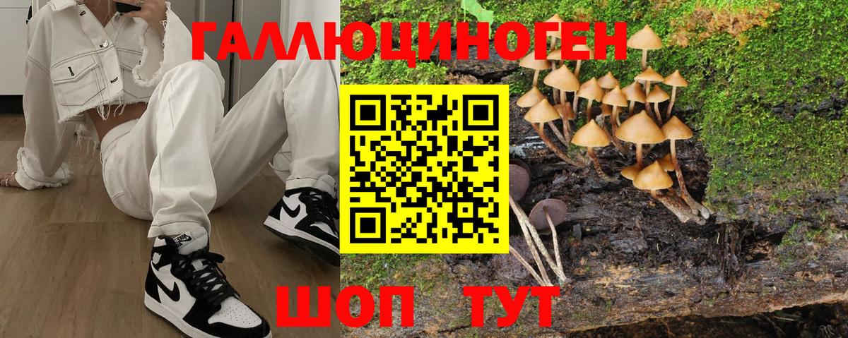 Полысаево  Псилоцибиновые грибы мухоморы  Вход с VPN 